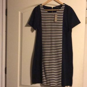 J crew woman’s dress